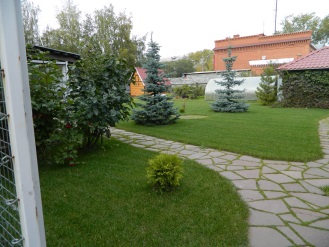 Благоустройство дачного участка