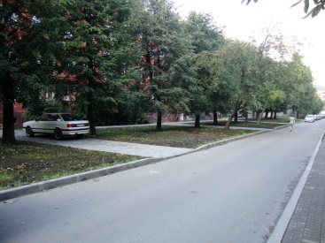 Дорожное благоустройство